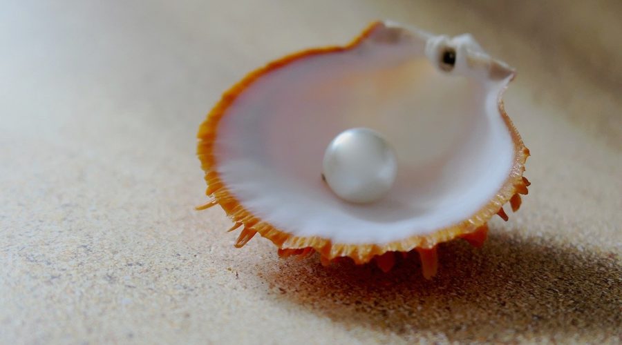 Turning Grit into Pearls